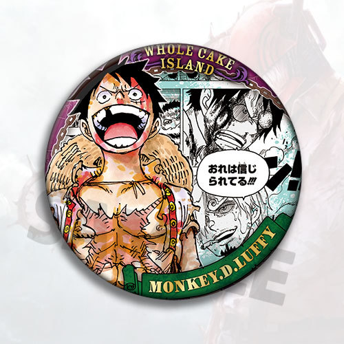 دبوس شارة وقلادة ميدالية لوفي  - مراجعة Luffy Anime Merchandise وسعره